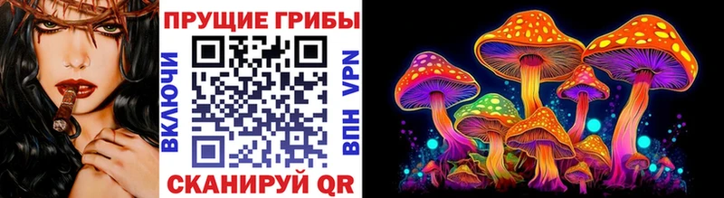 Псилоцибиновые грибы прущие грибы  Купить где  Нефтекамск 