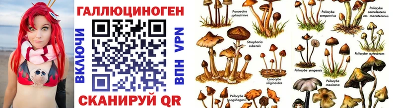 Псилоцибиновые грибы мицелий Нефтекамск