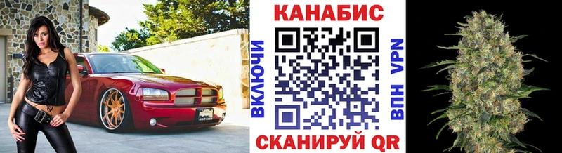 Шишки марихуана марихуана  Купить где  Нефтекамск 